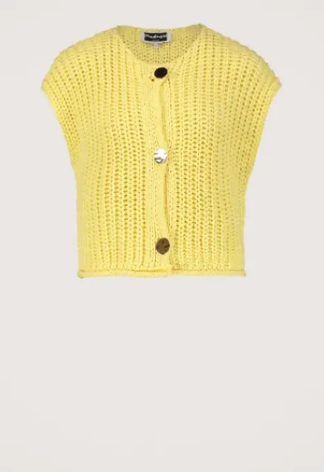 Best Mentha Vest Truien & Vesten