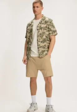 New Morro Short Shorts