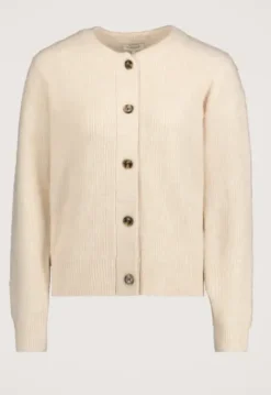 New Phine vest Truien & Vesten