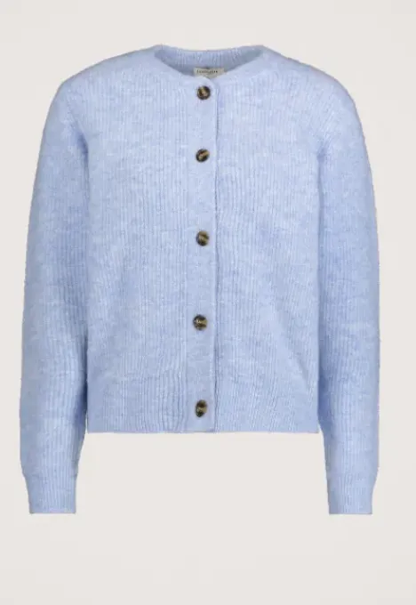 Sale Phine vest Truien & Vesten